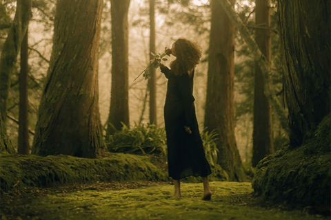 São Miguel : séance photo privée avec un professionnel