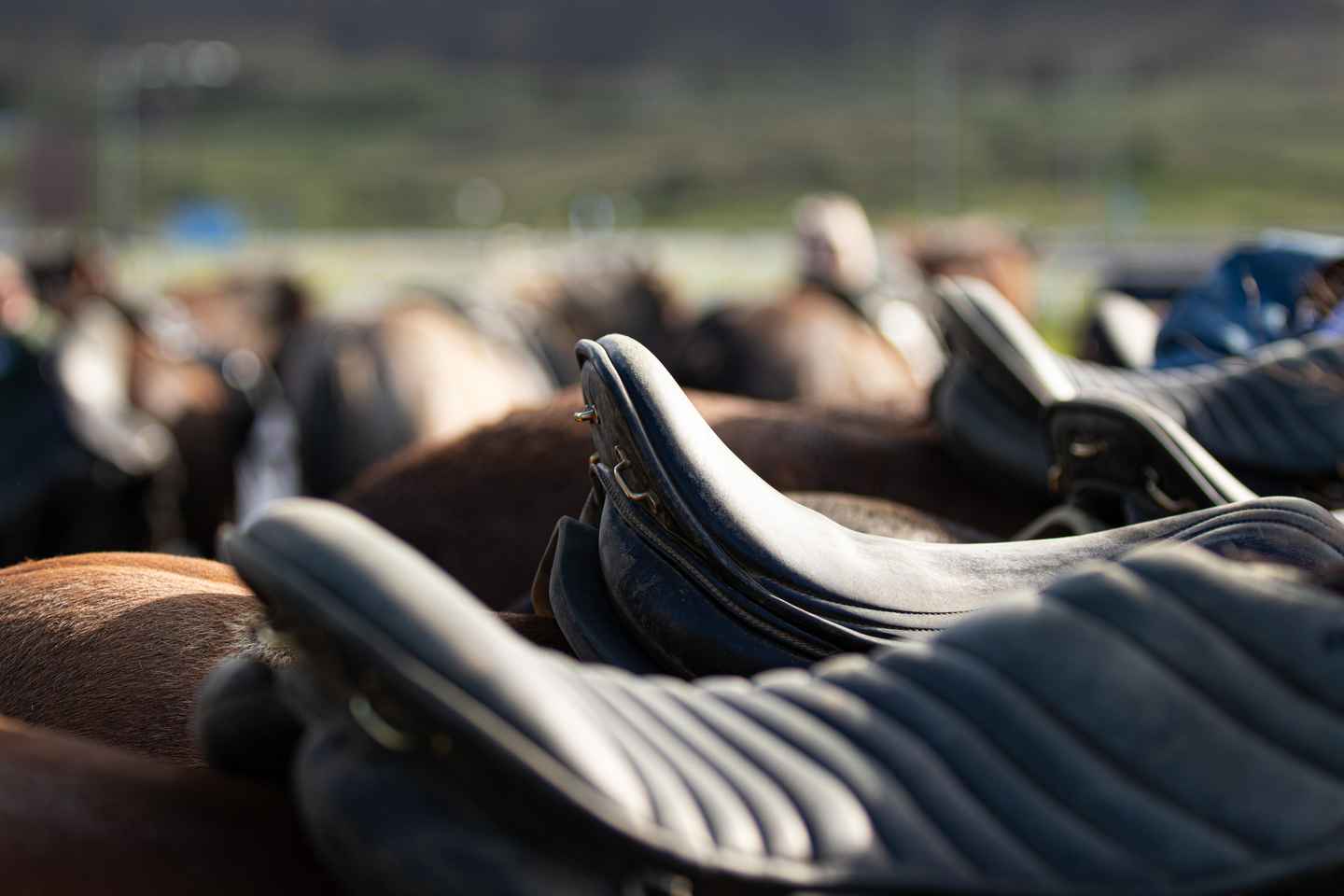 Hveragerdi: Tour a Cavallo tra i Paesaggi Incantati