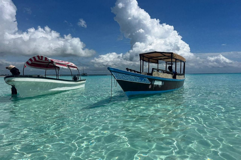 Zanzibar: Mnemba Island & Natural Lagoon Tour Mnemba Island Dolphin Tour & Sea Tortoise Aquarium Tour