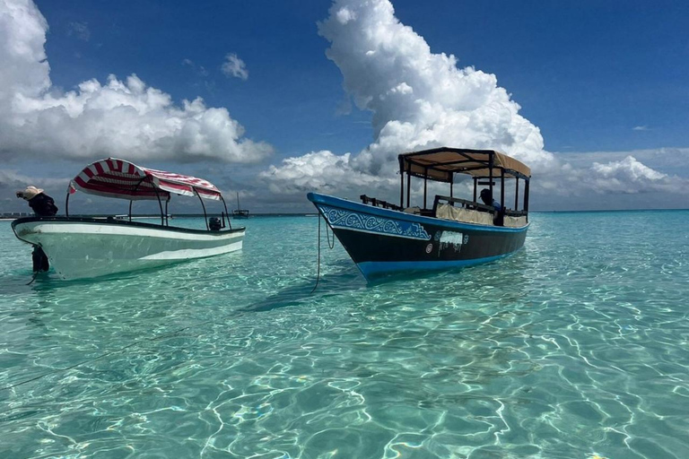 Zanzibar: Mnemba Island & Natural Lagoon Tour Mnemba Island Dolphin Tour & Sea Tortoise Aquarium Tour