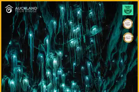 Private Tour: Private Tour: Waitomo Caves (Flexible)