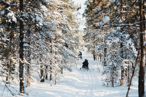 Levi: Safári de 3 horas de snowmobile em Levi com pausa para o café