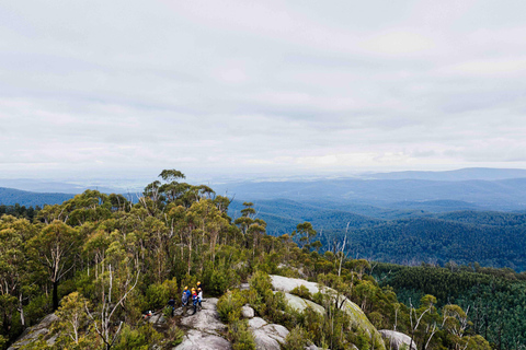 Yarra Valley: Zeven acre rots abseilen