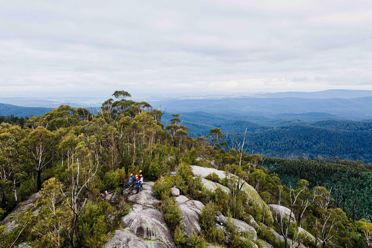 Yarra Valley: Abenteuer Abseilen vom Seven Acre Rock