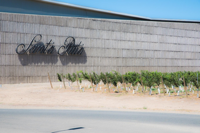 Santa Rita : Dégustation de vin Ultra Premium, visite et transport