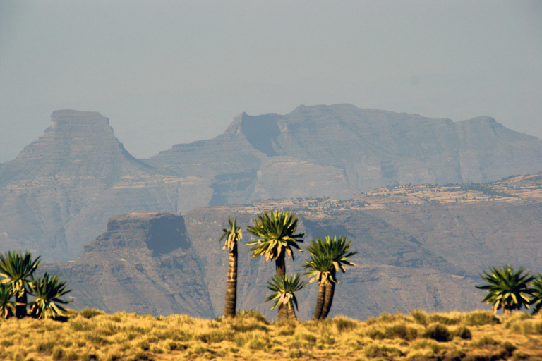 Addis Abeba: Góry Simien i Lalibela 10-dniowa wycieczkaAddis Abeba: 10-dniowa wycieczka w góry Simien i Lalibela