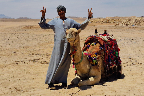 Makadi Bay: ATV, Horse, and Camel Ride Tour