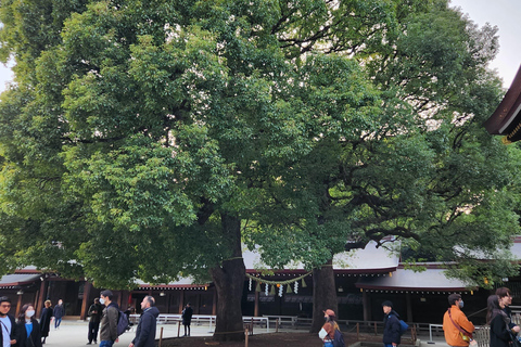 Tour privado de un día por los lugares famosos de TokioVisita Privada de un Día a los Lugares Famosos de Tokio