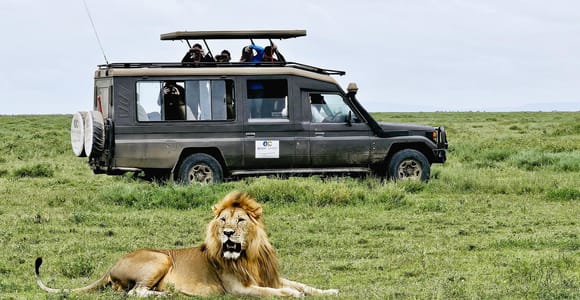 Zanzibar: 2-Day Private Magical Ngorongoro Crater Safari