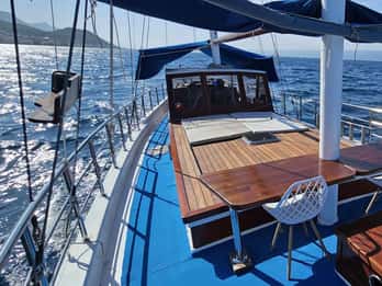 Daily boat trips