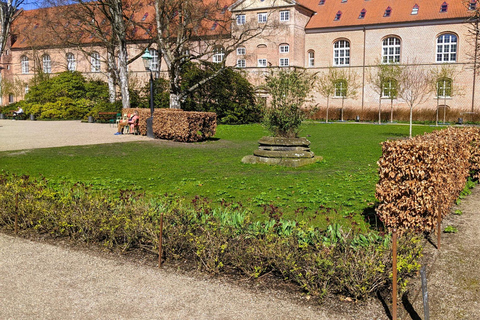 Copenaghen: Tour guidato a piedi della città con i suoi punti salienti