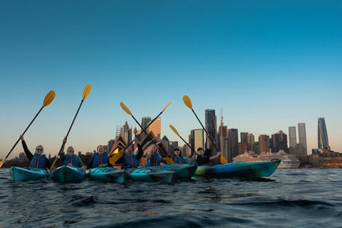 جولة قوارب الكاياك عند شروق الشمس في ميناء سيدني