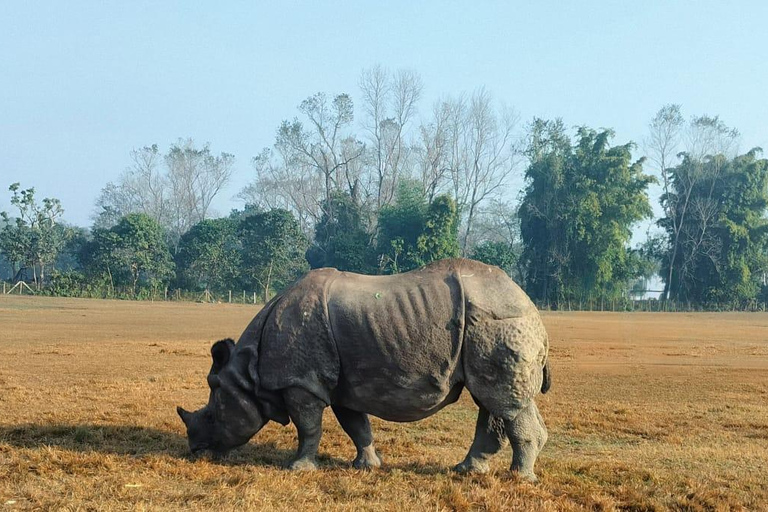 Kathmandu: 4-Day Chitwan National Park & Chitlang Tour