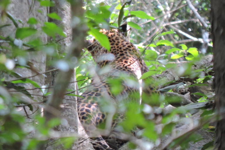 Yala/Mirissa: All Inclusive Full-Day Safari at Yala Park Mirissa/Weligama: All Inclusive Full-Day Safari at Yala Park