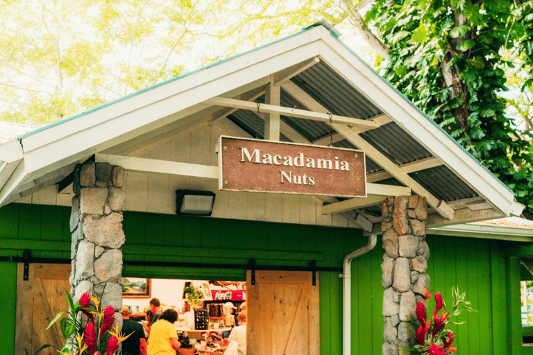 Oahu: The Ultimate Private Circle Island Tour 5-7 Guests