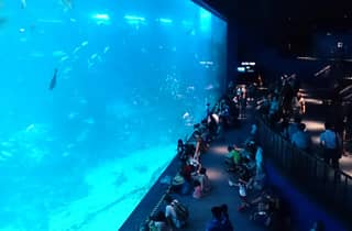 Ticket für das Oceanarium mit Hoteltransfer