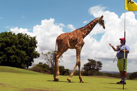 3 noce Vipingo Golf Safari & Flight TourPakiet golfowy Vipingo na 3 noce i wycieczka lotnicza