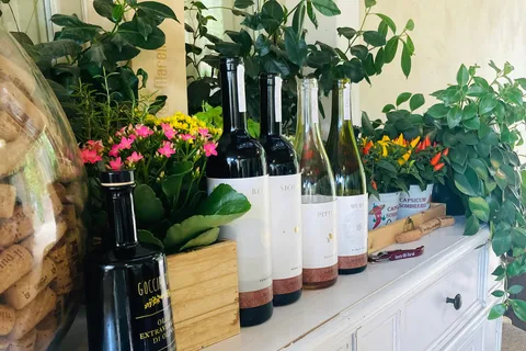 Lucca - Natural wine tasting at Tenuta Mareli