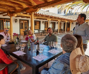 Palmilla: Wine and Flavors Tour
