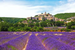 Von Nizza nach Grasse: Parfüm-, Wein- und Foodtour an der Côte d'Azur