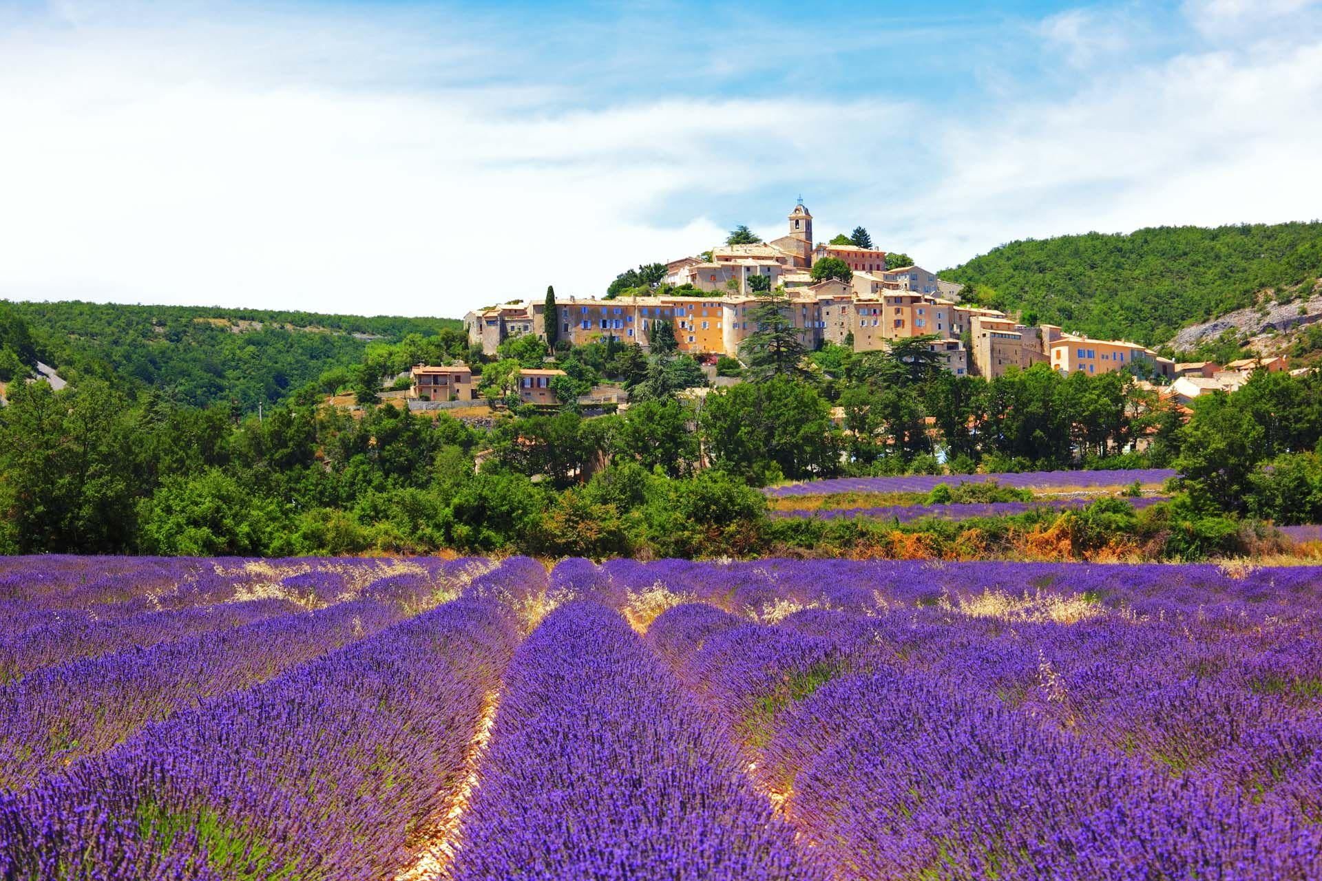 Von Nizza nach Grasse: Parfüm-, Wein- und Foodtour an der Côte d'Azur