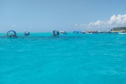 Zanzibar: Snorkeltrip naar Mnemba eiland vanuit Nungwi