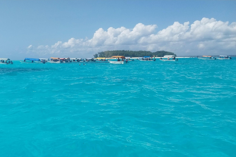 Zanzibar : excursion de plongée en apnée sur l&#039;île de Mnemba à partir de Nungwi