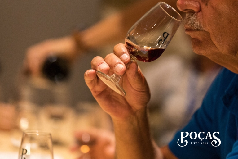 Porto: Guided Tour & Tasting of DOC Douro & Port Wines Tour in English