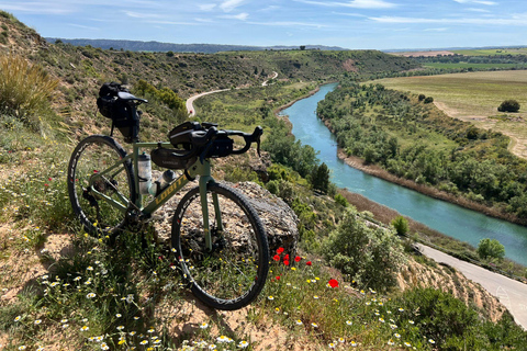 Madrid: E-Bike & Gravel Bike Rental