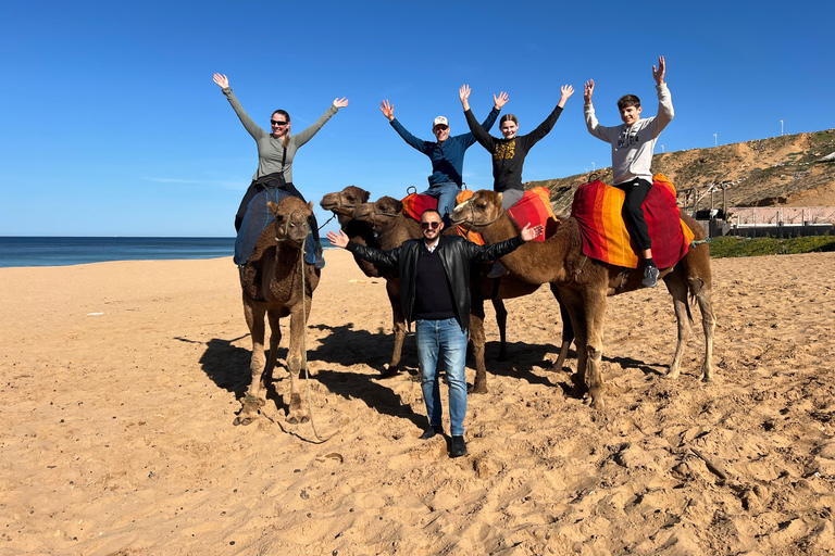 Explore Tangier: Guided City Tour and Seaside Camel Ride Pick up from the cruise terminal
