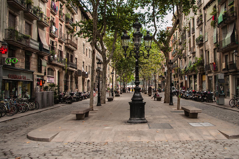 Barcelona: El Born Guided Walking Tour with Picasso Museum