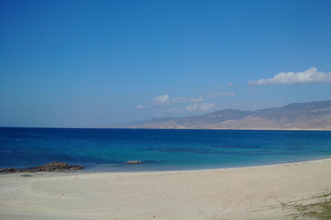 Salalah: privé-uitstapje naar het oosten