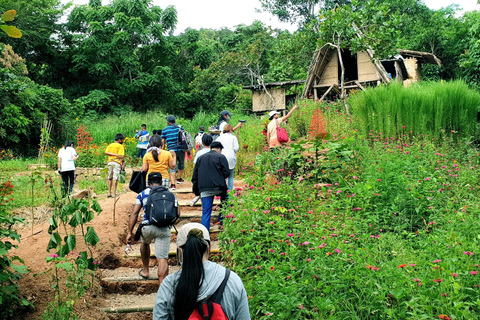 Coron: Farm Day Tour with Lunch and Hotel transfer