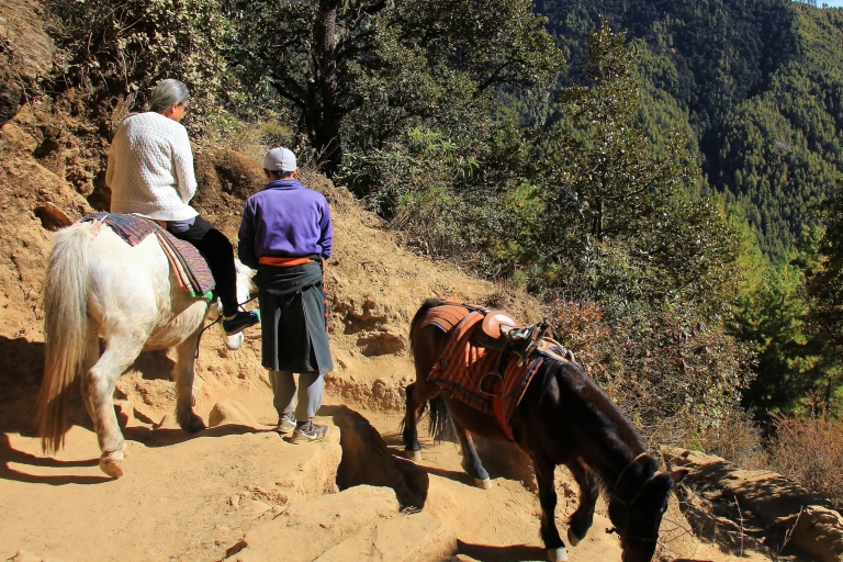Circuit de 5 jours au Bhoutan : Découvrez Paro, Thimphu et PunakhaCircuit de 5 jours tout compris au Bhoutan : Paro, Thimphu et Punakha