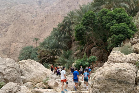 Muscat: Wadi Al Shab Oasis, Secret Cave & Sinkhole