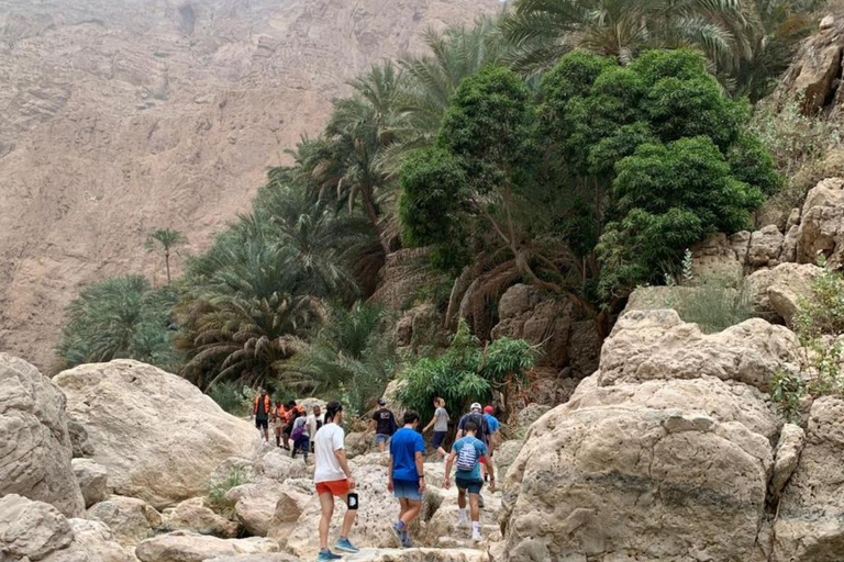 Muscat: Wadi Al Shab Oasis, Secret Cave & Sinkhole