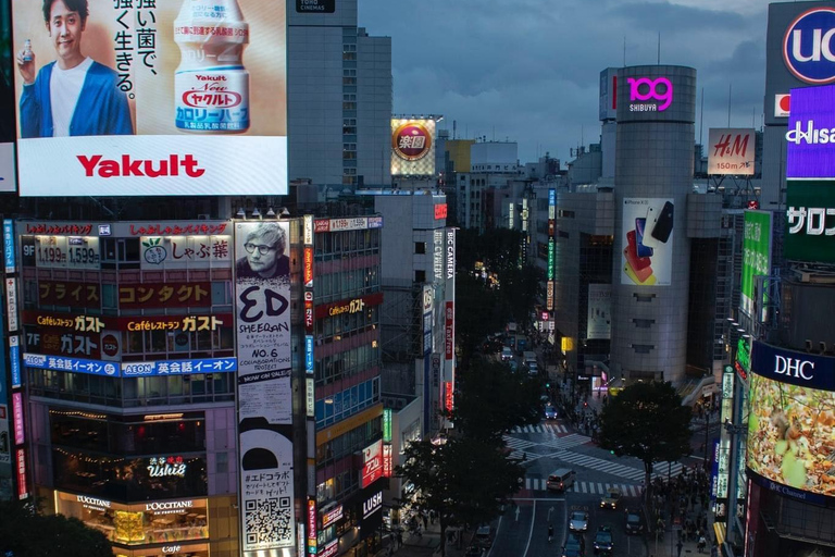 Tour de día completo por la ciudad de Tokio con recogida y regreso