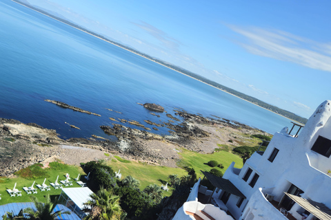 Tour de ville à Punta del Este : découvrez le meilleur avec d&#039;autres voyageurs