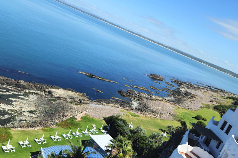 Stadsrundtur i Punta del Este: Upptäck det bästa med andra resenärer