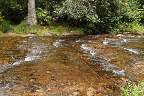 From Siem Reap: Phnom Kulen National Park Trekking Tour