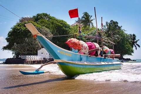 I migliori transfer aeroportuali e tour (Sri Lanka)