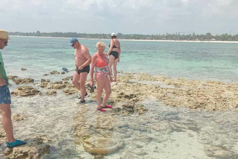 Zanzibar: Kiwengwa Reef Snorkeling, Sailing & Starfish Tour Zanzibar: Kiwengwa Reefs Snorkeling, Sailing & Starfish Tour