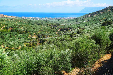 Crete Olive oil tasting ,wine, raki, and cretan food!