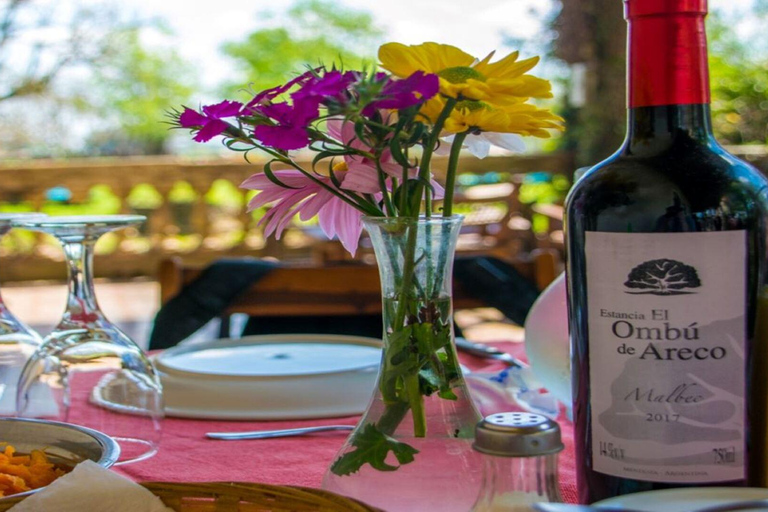 从布宜诺斯艾利斯出发：埃尔翁布德阿雷科（含接送服务）从布宜诺斯艾利斯出发：阿雷科的奥姆布树，含接送服务