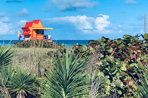 Miami Beach : 1 heure de Segway