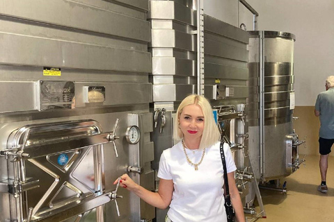 Alicante: Winery Tour with Wine Tasting and Snacks