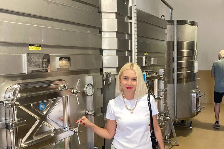 Alicante: Winery Tour with Wine Tasting and Snacks