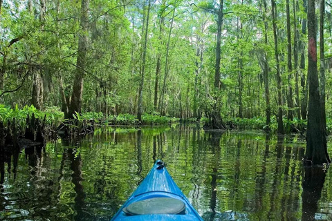 Nueva Orleans: Excursión en Kayak por el Pantano Mágico de ManchacExcursión por el pantano en kayak sin transporte