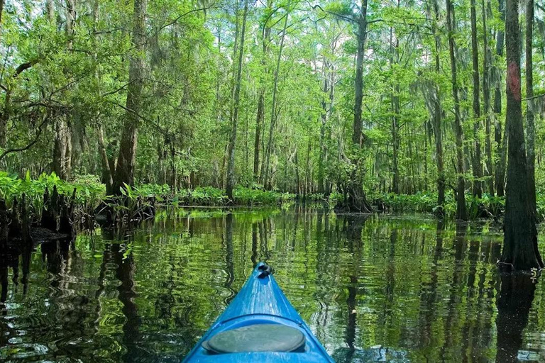 Nueva Orleans: Excursión en Kayak por el Pantano Mágico de ManchacExcursión por el pantano en kayak sin transporte