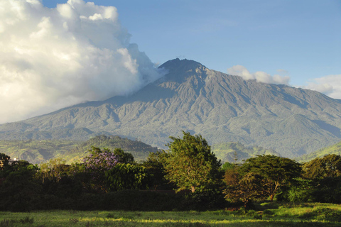 4 dagen Mount Meru Wandelen | Arusha Nationaal Park